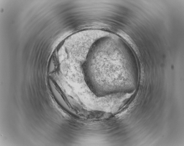 X0000088220850200706121828