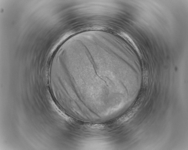 X0000088220851200706121828