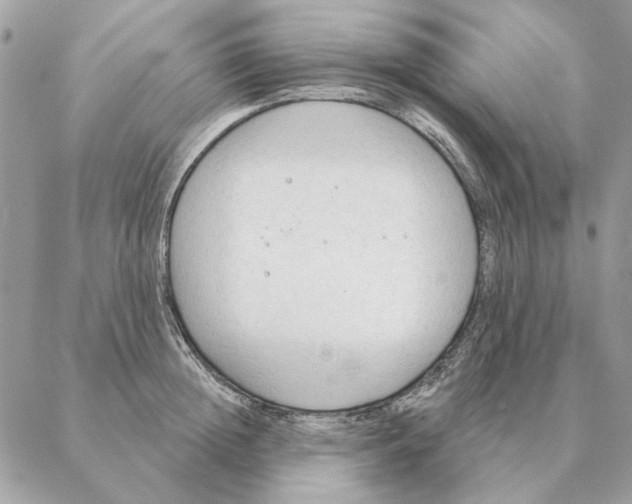 X0000088220852200706121828