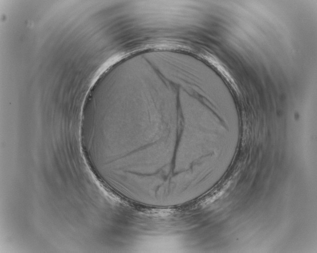 X0000088220853200706121828