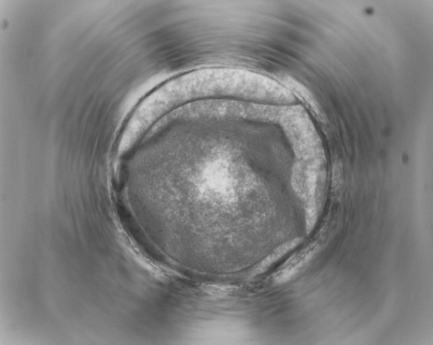 X0000088220854200706121828