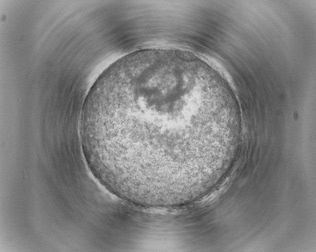 X0000088220855200706121828