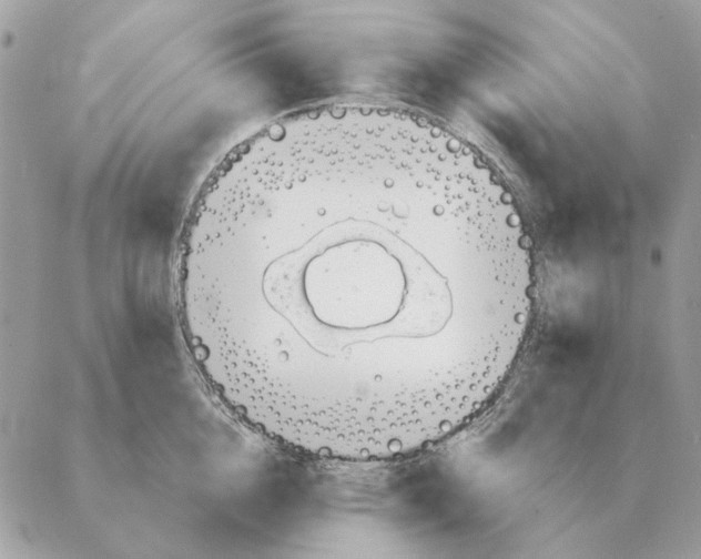 X0000088220856200706121828