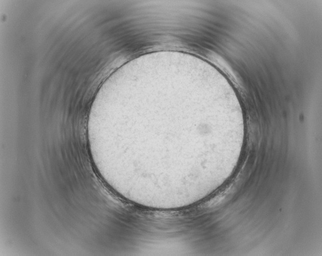 X0000088220857200706121828