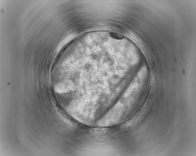 X0000088220858200706121828