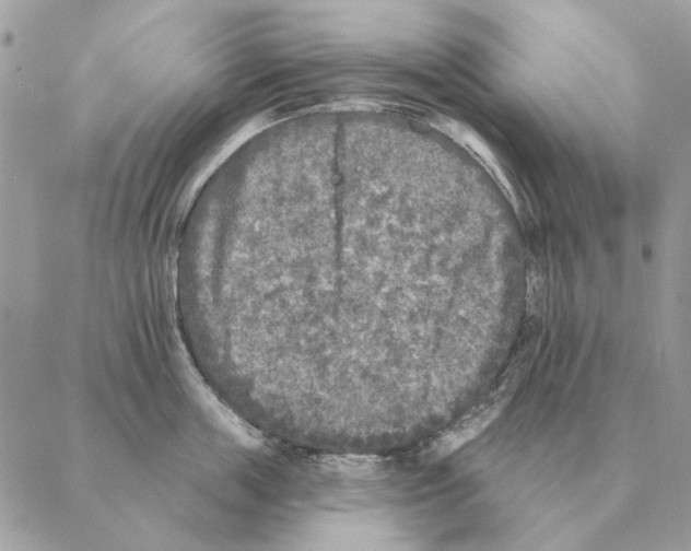 X0000088220859200706121828