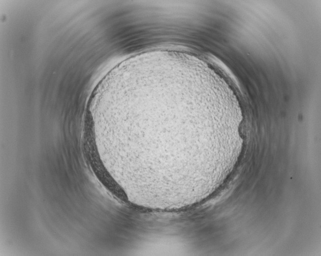 X0000088220860200706121828