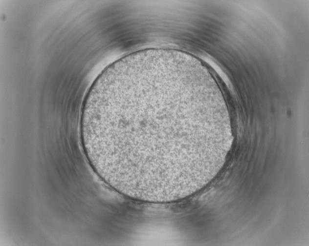 X0000088220861200706121828