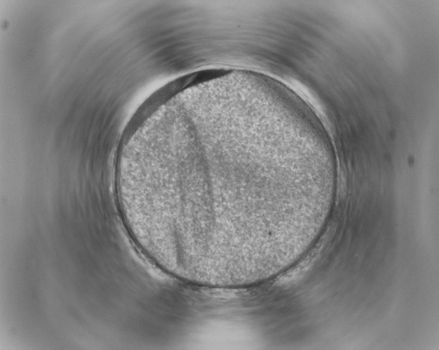 X0000088220862200706121828