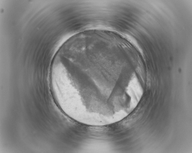 X0000088220863200706121828