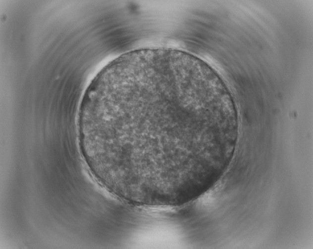 X0000088220864200706121828