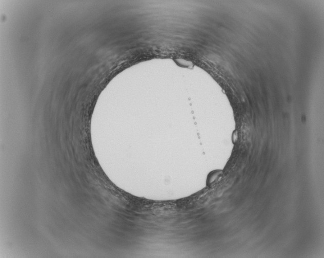 X0000088220865200706121828