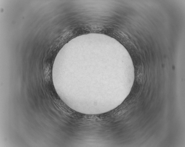 X0000088220866200706121828