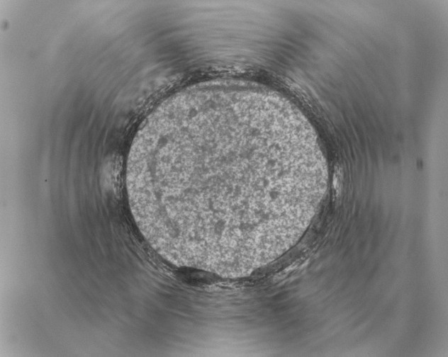 X0000088220867200706121828