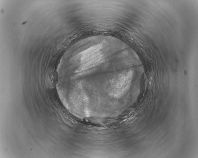 X0000088220868200706121828