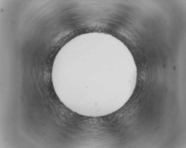 X0000088220869200706121828