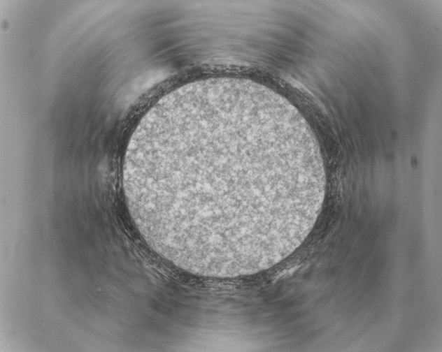 X0000088220870200706121828