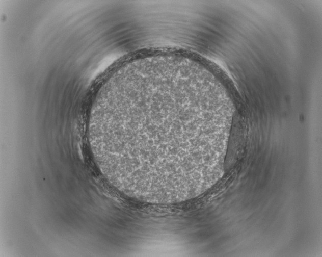 X0000088220871200706121828