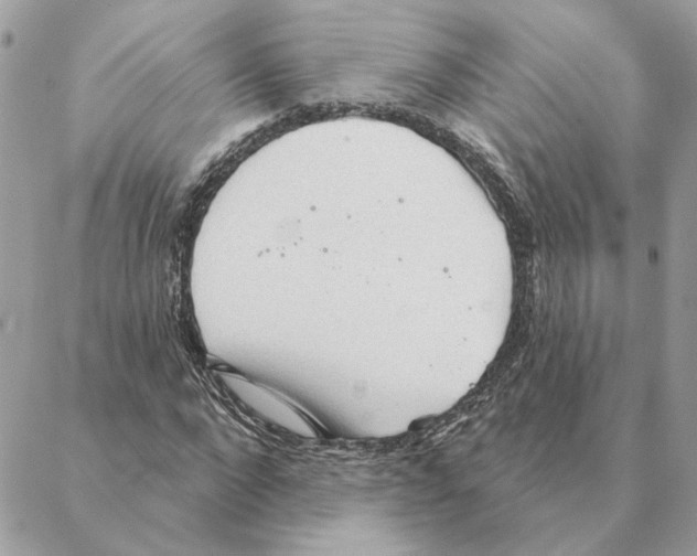 X0000088220872200706121828