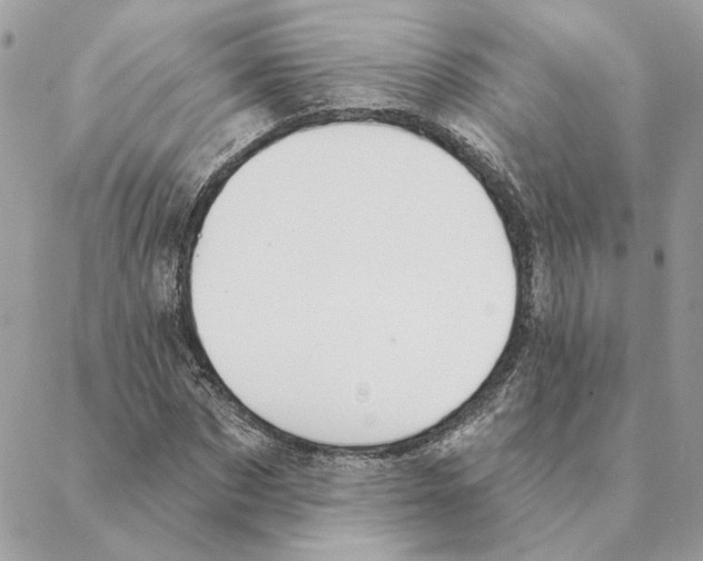 X0000088220873200706121827