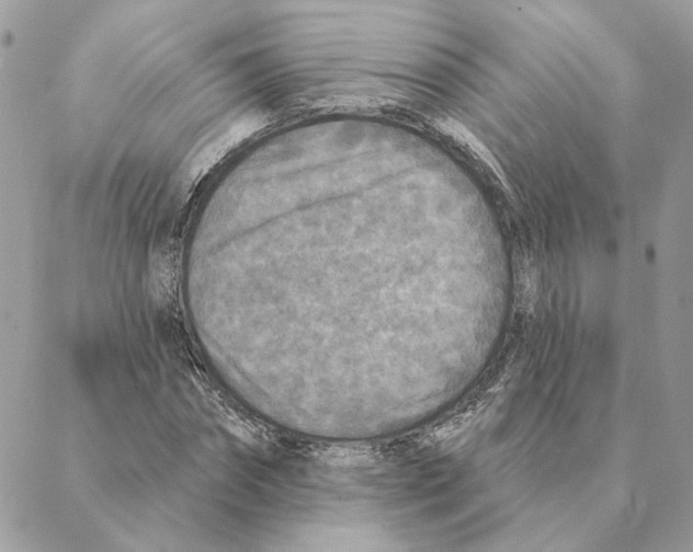 X0000088220874200706121827