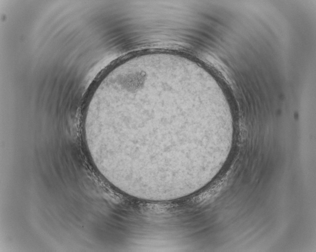 X0000088220875200706121827