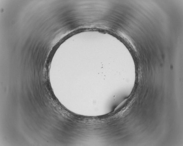 X0000088220876200706121827