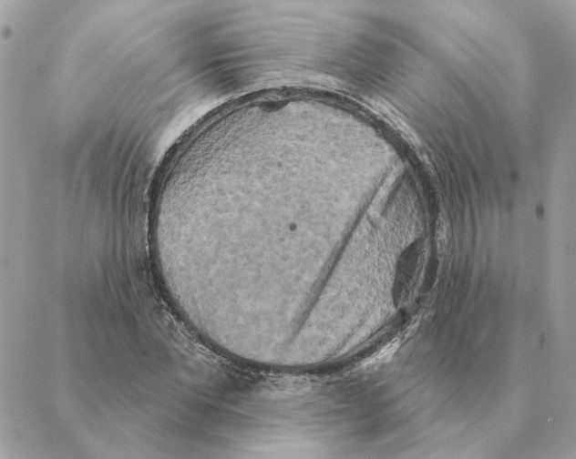 X0000088220877200706121827