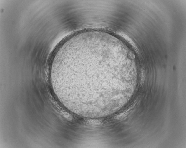 X0000088220878200706121827