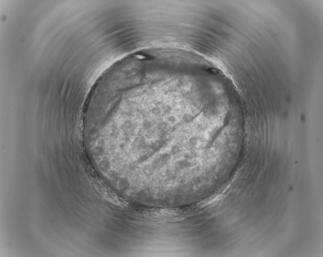 X0000088220879200706121827