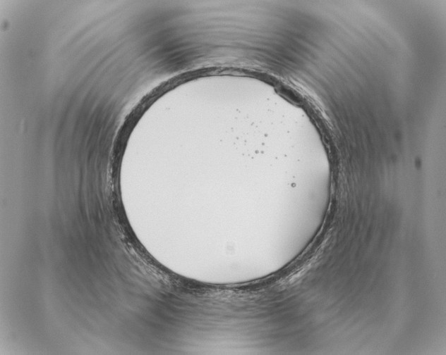 X0000088220880200706121827