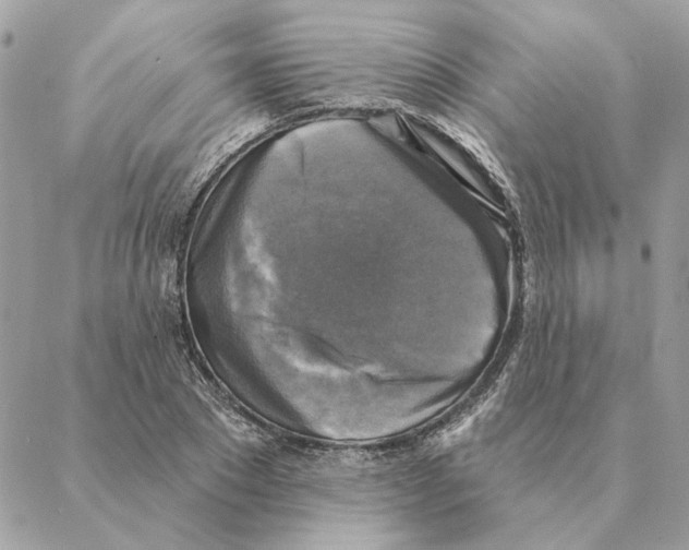 X0000088220881200706121827