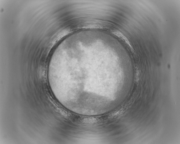 X0000088220882200706121827