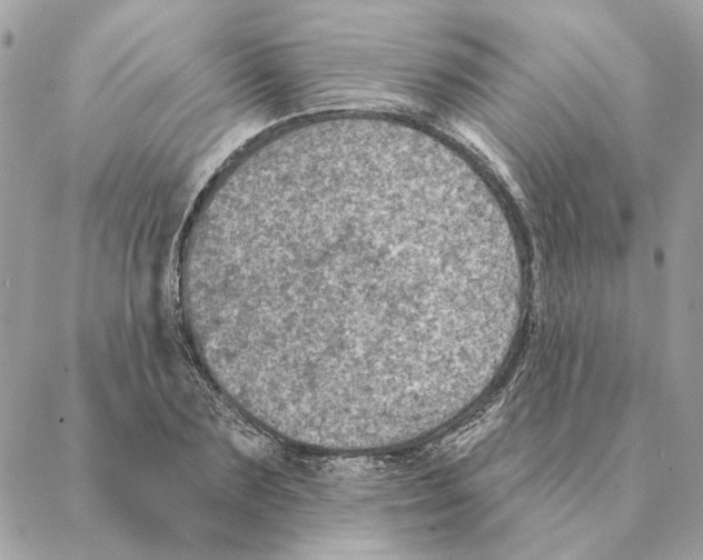 X0000088220883200706121827