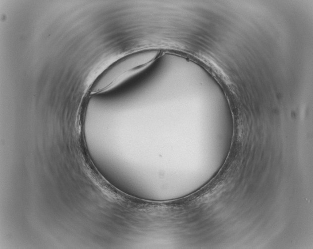 X0000088220885200706121827