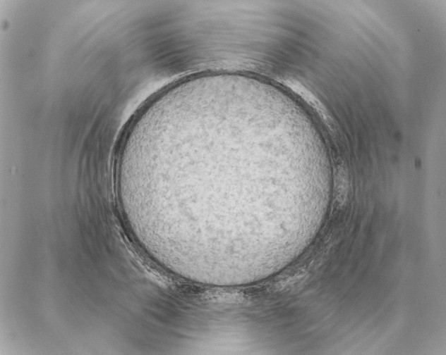 X0000088220886200706121827