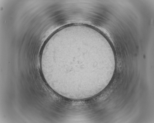 X0000088220887200706121827