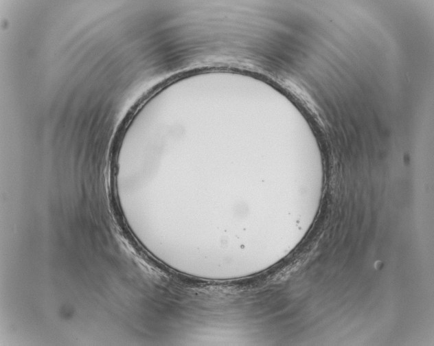 X0000088220888200706121827