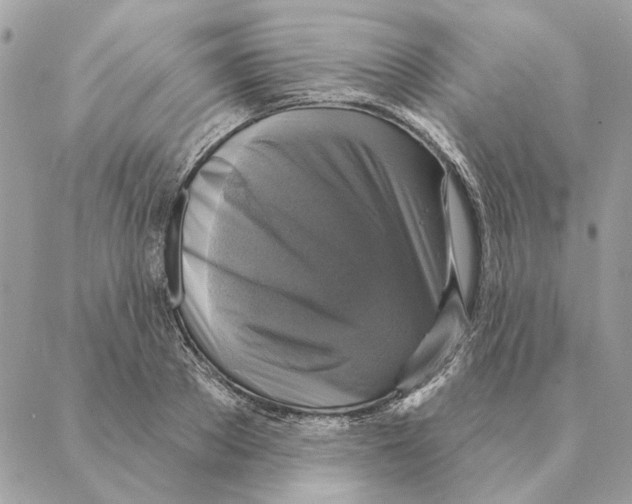 X0000088220889200706121827