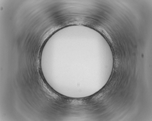 X0000088220890200706121827