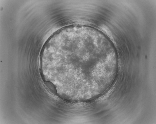 X0000088220891200706121827