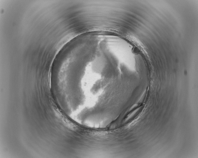 X0000088220892200706121827