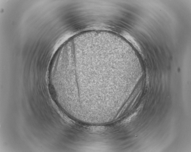 X0000088220893200706121827