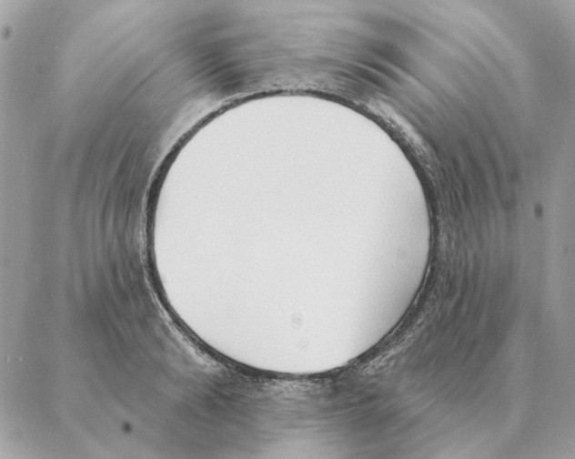 X0000088220894200706121827