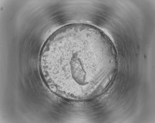 X0000088220895200706121827