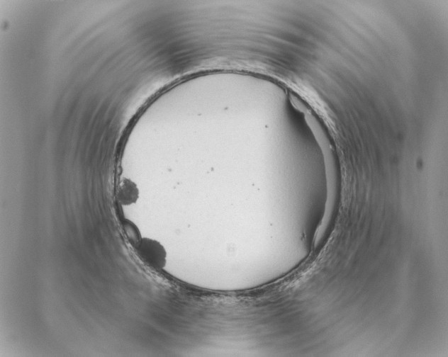 X0000088220896200706121827