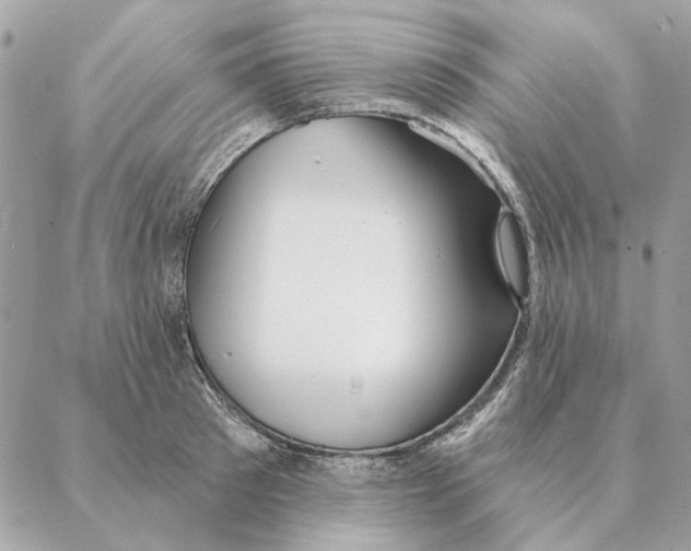 X0000088220897200706121827