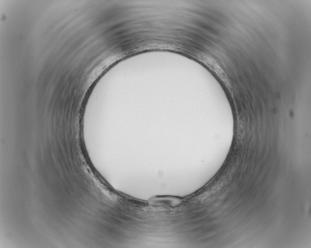 X0000088220898200706121827