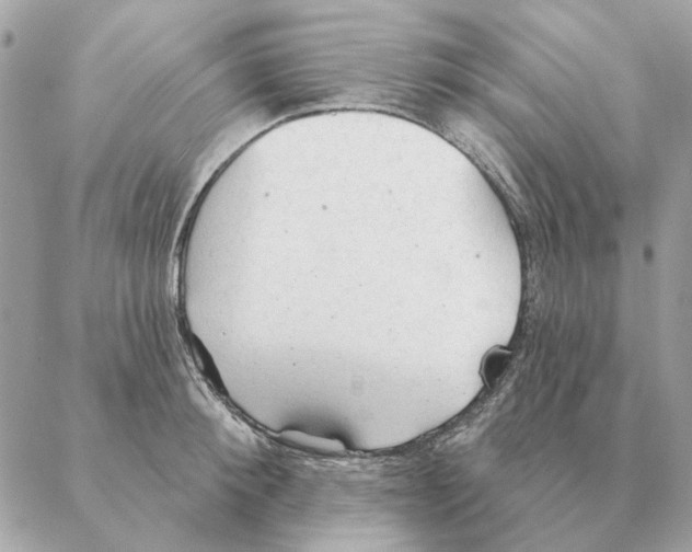 X0000088220900200706121827