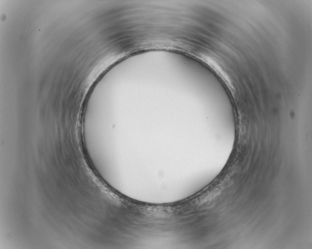 X0000088220901200706121827